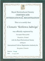 ph clematis Krolowa Jadwiga  registration certificate 2009 small