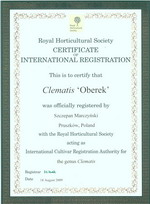 ph clematis Oberek  registration certificate 2009 small