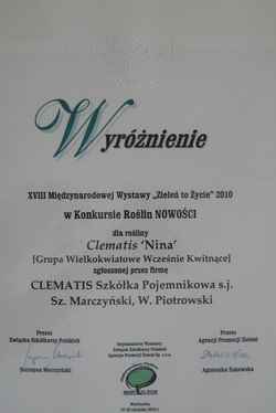 клематис ‘Nina’ &quot;Знак Отличия&quot;