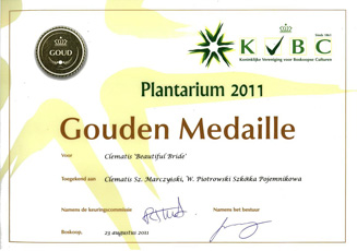 Golden medal was awarded to 