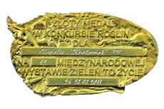 Złoty Medal dla Clematisu 